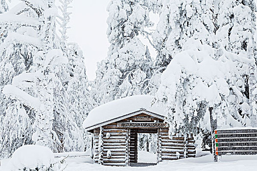 入口,国家公园,冬天,拉普兰,芬兰