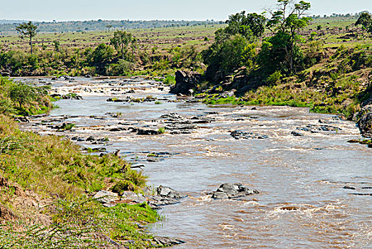 马拉河,马赛马拉国家保护区,肯尼亚