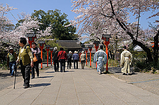 神祠,节日,日本节日,京都,日本