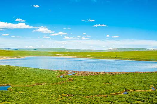 三江源自然保护区风光,海拔最高的天然湿地,中国西藏