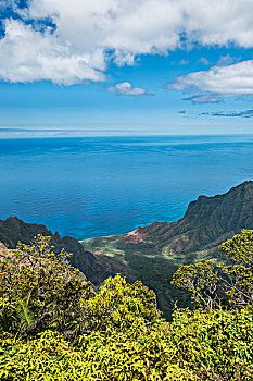 夏威夷,考艾岛,寇基,州立公园,风景,卡拉拉乌谷,暸望,大幅,尺寸