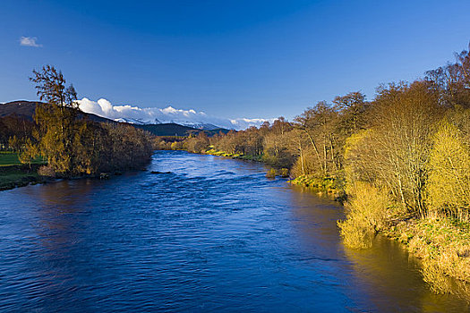 苏格兰,高地,靠近,河,凯恩戈姆国家公园