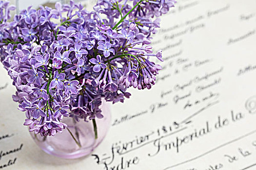 花束,丁香,花,紫色,紫罗兰,花瓶,春天