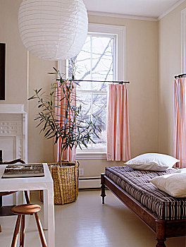 粉色,反射,苍白,天花板,客厅