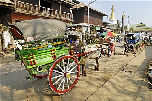 马车,四轮马车,缅甸,亚洲