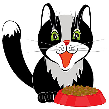 猫,汤碗,食物