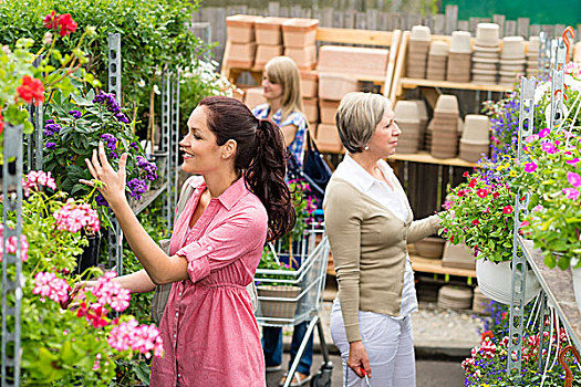 女人,盆栽,花卉商店