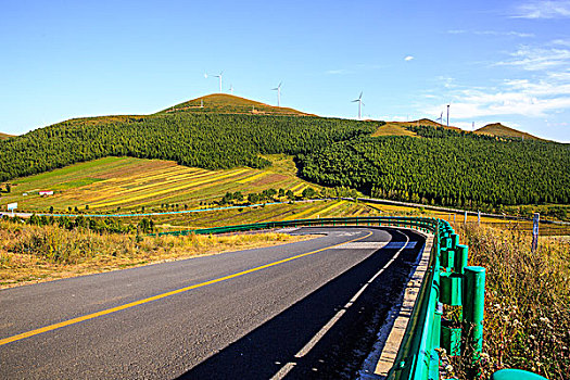 弯道,柏油路,公路,道路,草原天路