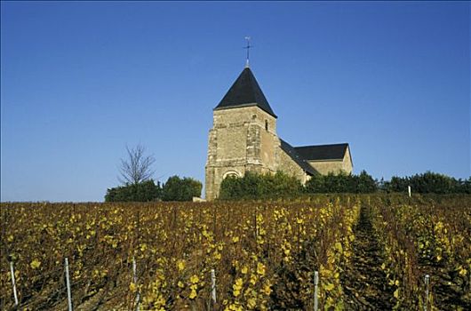 法国,香巴尼阿登大区,教堂,围绕,葡萄园