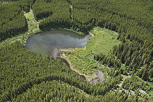 航拍,高山湖,南,班芙国家公园,艾伯塔省,加拿大