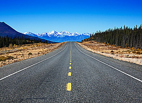 公路,通过,风景,阿拉斯加公路,加拿大