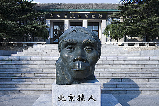 雕塑,北京,男人,正面,博物馆,周口店,场所,中国