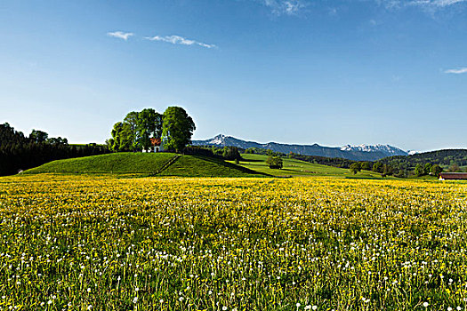德国,巴伐利亚,山麓,阿尔卑斯山,小教堂,春天,草地