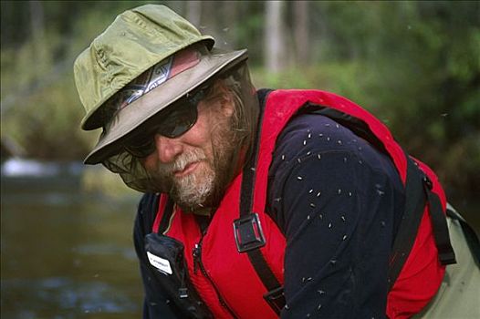 男人,穿戴,蚊子,头部,网,桦树,溪流,河,国家保护区,室内,阿拉斯加