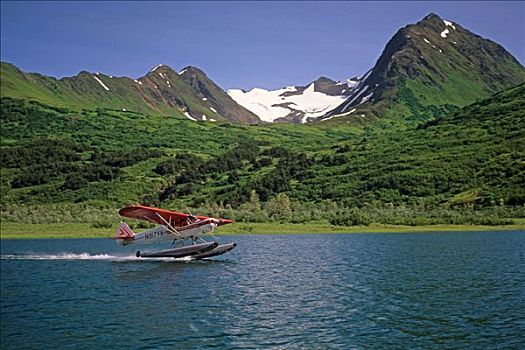 水上飞机,湖,基奈,肯奈半岛,阿拉斯加,夏天,景色