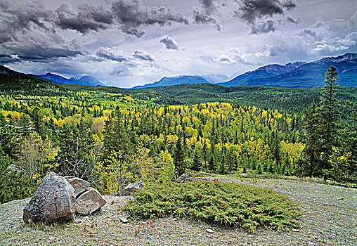 老,碧玉国家公园,艾伯塔省,加拿大