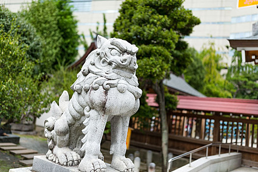 狮子,雕塑,日本,庙宇