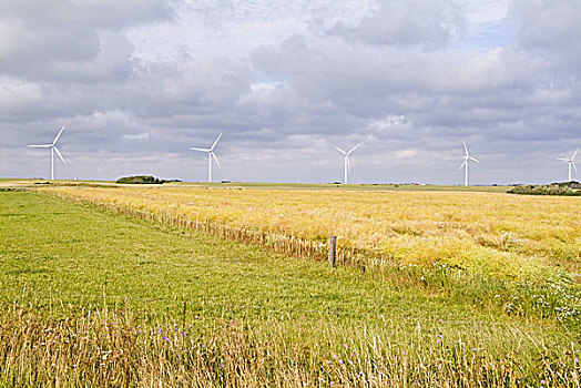 丹麦,风车,风景,风公园,风,力量,安装,风轮机,再生能源,替代能源,风能,能量,无污染