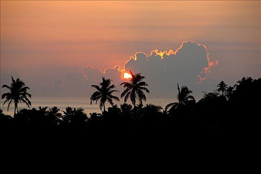 红色,日落,后面,棕榈树,云,靠近,印度洋,斯里兰卡,南亚