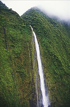 夏威夷,瓦胡岛,巴利,特写,瀑布,山峦,薄雾,雾