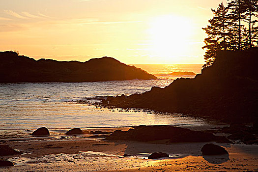 海滩,指点,日落,靠近,温哥华岛,不列颠哥伦比亚省,加拿大