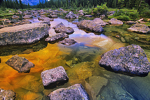 石头,湖,十峰谷,班芙国家公园,艾伯塔省,加拿大