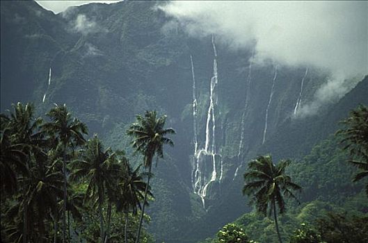 法属玻利尼西亚,塔希提岛,热带,景色,棕榈树,绿色植物,瀑布,层叠,山