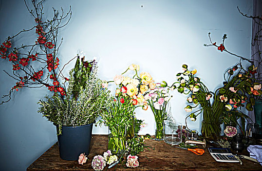 桌子,花店,花瓶,花,植物