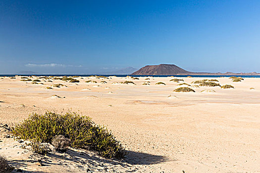 沙丘,海滩,岛屿,远景,科拉莱霍,富埃特文图拉岛,加纳利群岛,西班牙
