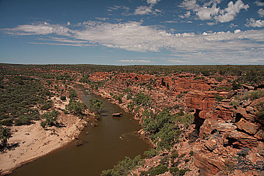 峡谷,河,澳大利亚