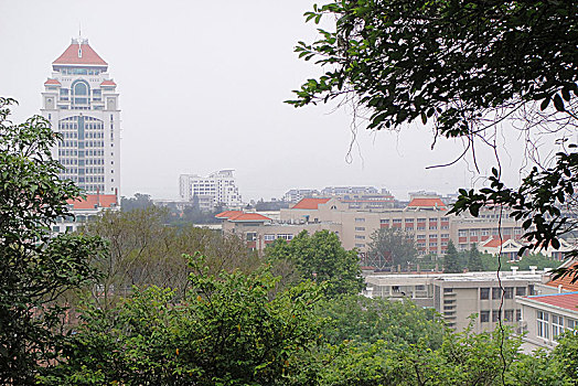 厦门大学