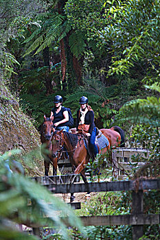骑马,国家公园,新西兰