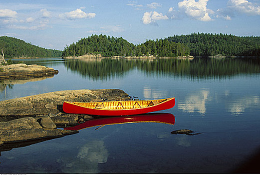 独木舟,海岸线,泰马加密,安大略省,加拿大