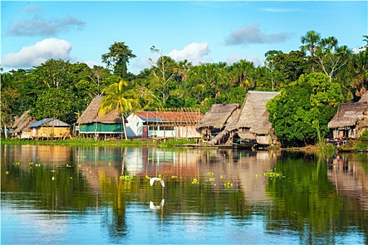亚马逊河,丛林,乡村