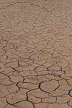 干燥,湖床,佩里亚国家公园,喀拉拉,印度