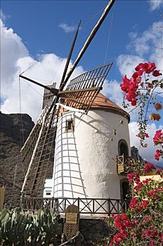 风车,大加那利岛,加纳利群岛,西班牙