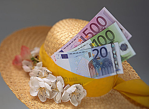女人,草帽,花,欧元,欧洲货币,货币