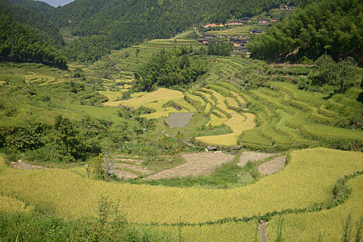 武夷山水