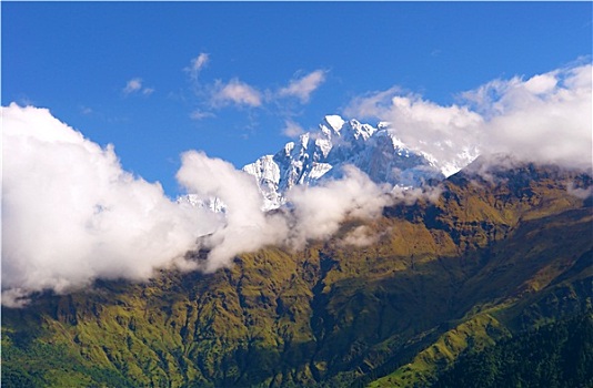 风景,安纳普尔纳峰,山,跋涉,露营,保护区