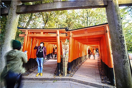 伏见稻荷大社,神祠,京都,日本