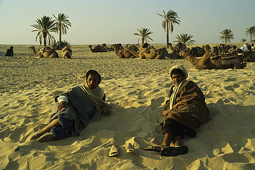 非洲,突尼斯,撒哈拉沙漠,骆驼,牧人