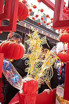 2013年2月12日北京西城区厂甸文化庙会