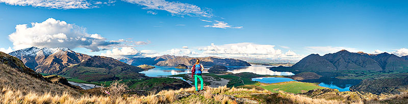 远足,远眺,瓦纳卡湖,岩石,顶峰,公园,奥塔哥,南部地区,新西兰,大洋洲