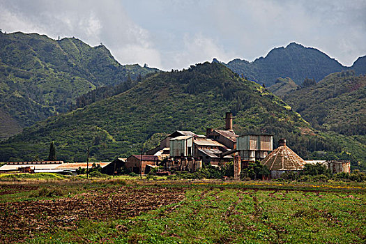 糖,精炼厂,考艾岛,夏威夷,美国