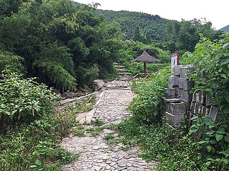 莫干山风景