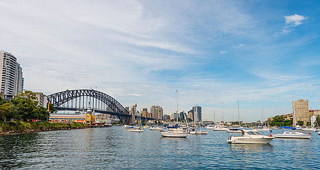 薰衣草,湾,帆船,悉尼港大桥,悉尼,新南威尔士,澳大利亚,大洋洲