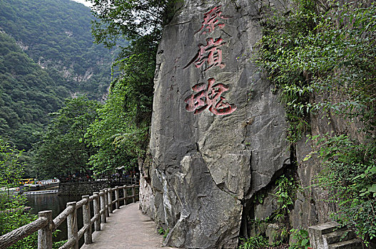 西安鄠邑太平国家森林公园