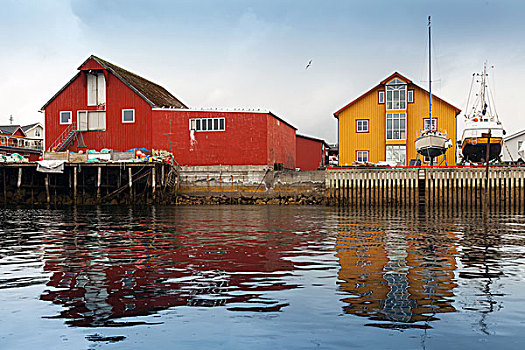 红色,黄色,木质,沿岸,房子,挪威,渔村