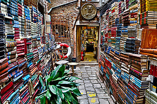 户外,小路,书店,书本,一堆,高,威尼斯,意大利