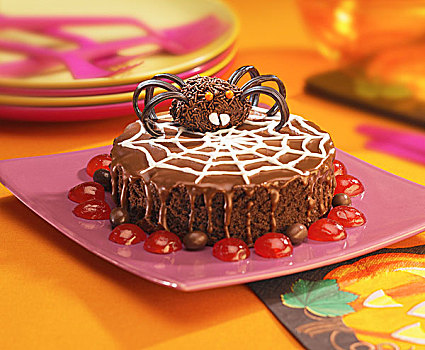 巧克力蛋糕,装饰,蜘蛛,蜘蛛网
